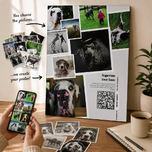 Affiche de promotion d'un élevage de Great Dane gé