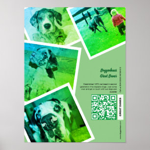 Affiche de promotion Great Dane Kennel
