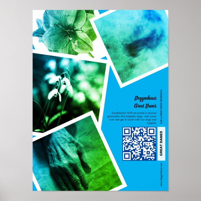 Affiche de promotion Great Dane Kennel (Devant)