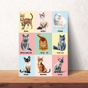Affiche de race de chat personnalisée – Ajoutez vo