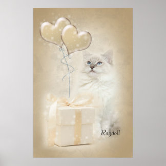 Affiche de Ragdoll