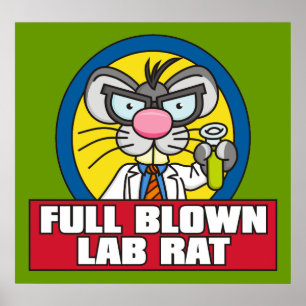 Affiche de rat de laboratoire