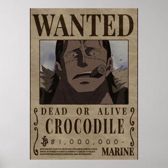 Affiche de recherche de Crocodile One Piece (Devant)