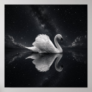 Affiche de réflexion de cygne céleste Noir & Bla