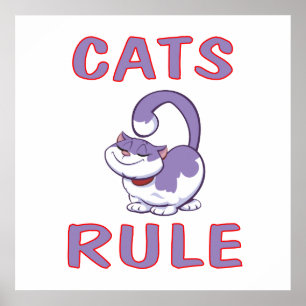Affiche de RÈGLE de CHATS
