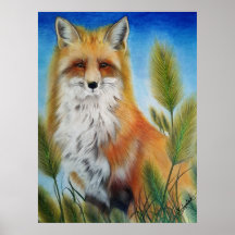 Affiche de renard