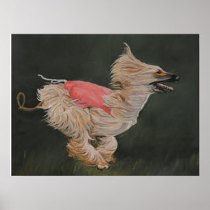 Affiche de reproduction de l'art de l'Afghan Hound