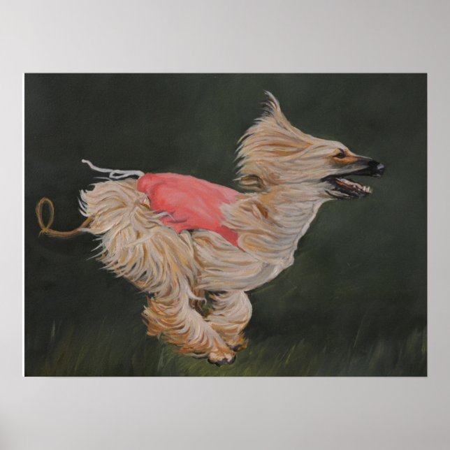 Affiche de reproduction de l'art de l'Afghan Hound (Devant)