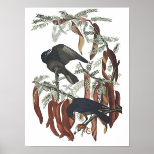 Affiche de reproduction d'une œuvre ancienne repré