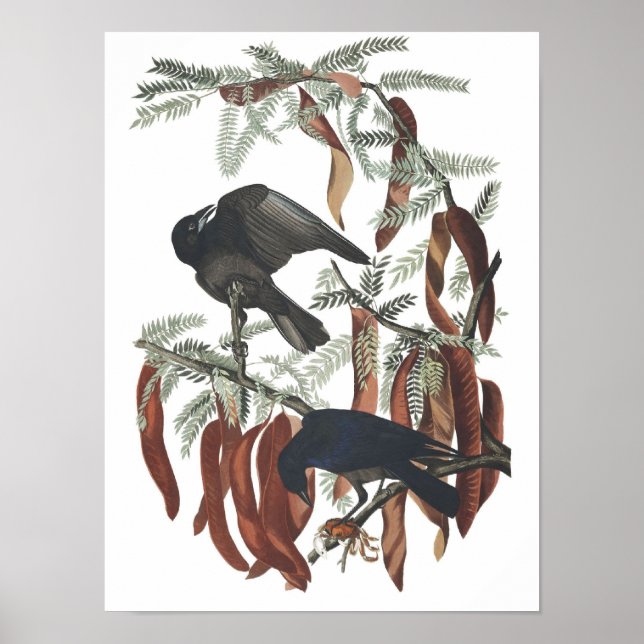 Affiche de reproduction d'une œuvre ancienne repré (Devant)