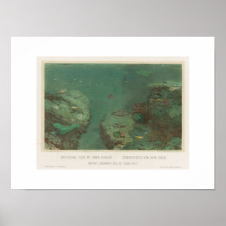Affiche de rochers sous-marins avec coraux verts (
