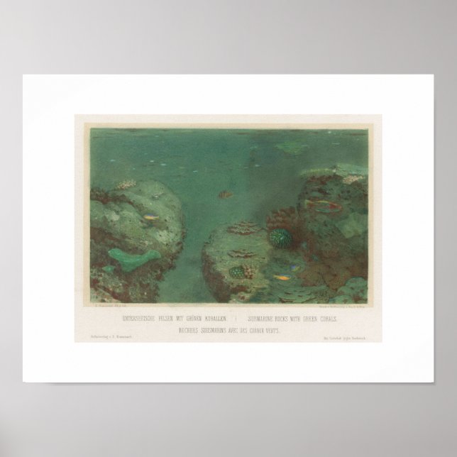 Affiche de rochers sous-marins avec coraux verts ( (Devant)