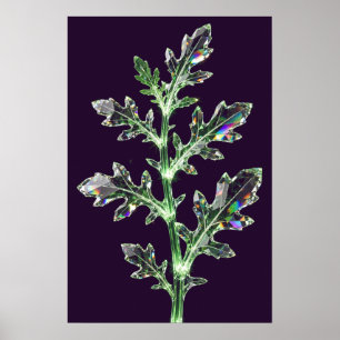 Affiche de Roquette Crystal — Récolte de Cristal