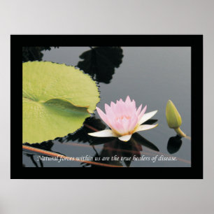 Affiche de santé de citations et d'énonciations de