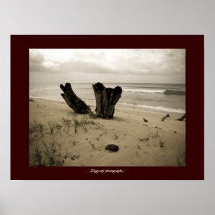 affiche de scène de plage