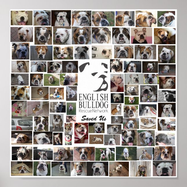 Affiche de Secourt de la BERN (Devant)