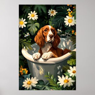 Affiche de Setter Irlandais dans une Baignoire, Af