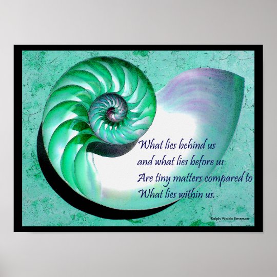 Affiche De Shell Du Nautilus A01 Avec La Citation Zazzle Fr