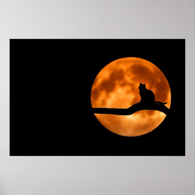 Affiche de silhouette de chat au clair de lune (Devant)