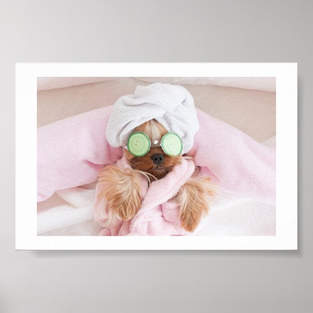 affiche de spa de chien / toilettage de chien (Devant)