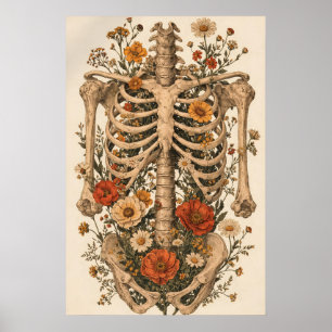 Affiche de squelette d'anatomie florale, botanique