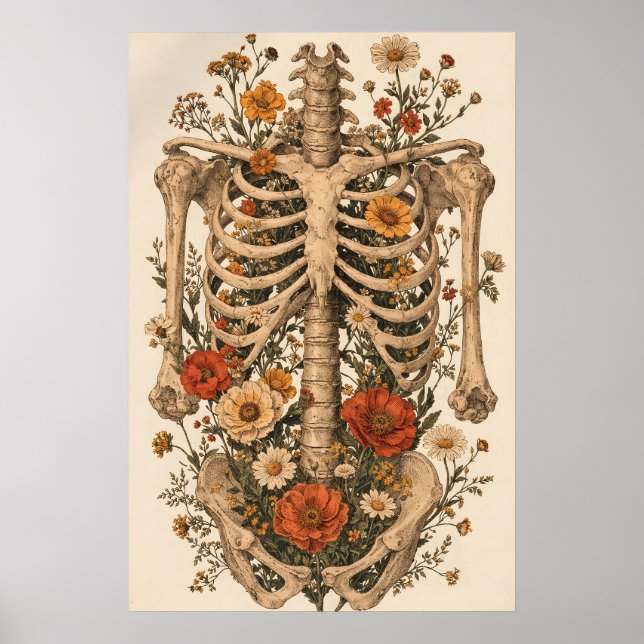 Affiche de squelette d'anatomie florale, botanique (Devant)