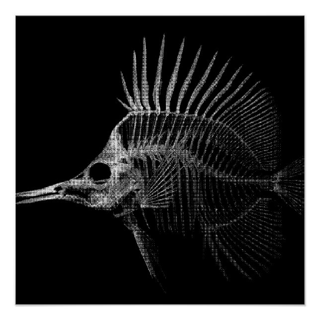 Affiche de squelette de poisson gothique aux rayon (Devant)