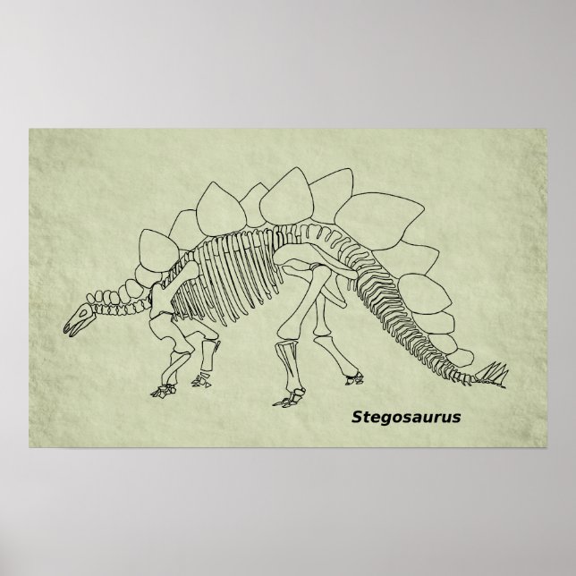 Affiche de squelette de stégosaure (Devant)