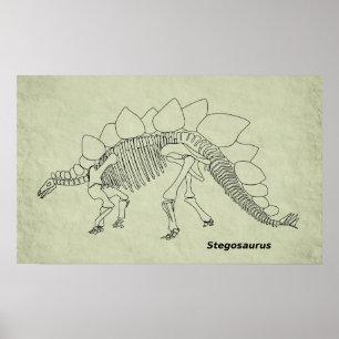 Affiche de squelette de Stegosaurus