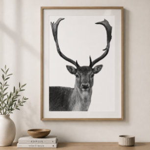 Affiche de style cabane cerf noir et blanc