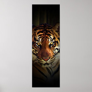 Affiche de Sumatran Tiger