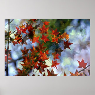 Affiche de Sweet Autumn