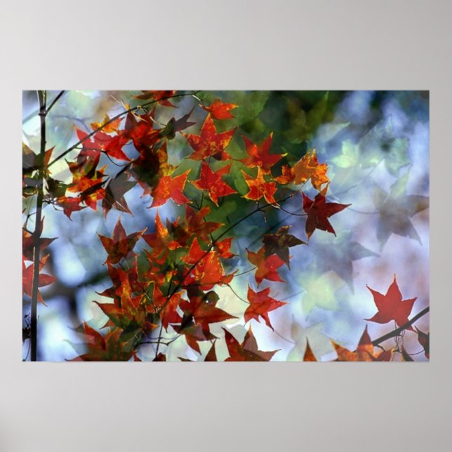Affiche de Sweet Autumn (Devant)