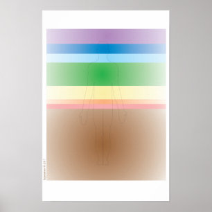 Affiche de système de Chakra