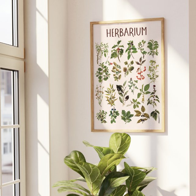 Affiche de tableau de plante verte Herbarium Vinta (In situ under sunlight)