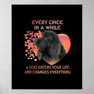 Affiche De Temps En Temps Un Chien Entre Dans Votre Vie