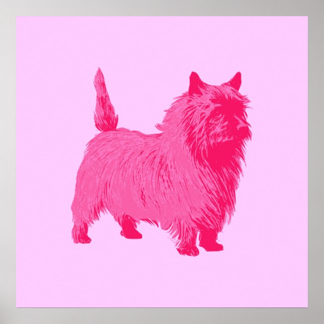 Affiche de Terrier Cairn Rose (Devant)