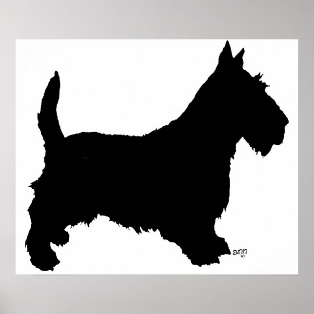 Affiche de Terrier Écossais (Devant)