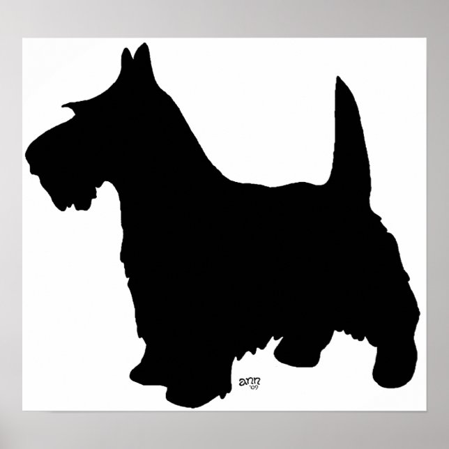 Affiche de Terrier Écossais (Devant)