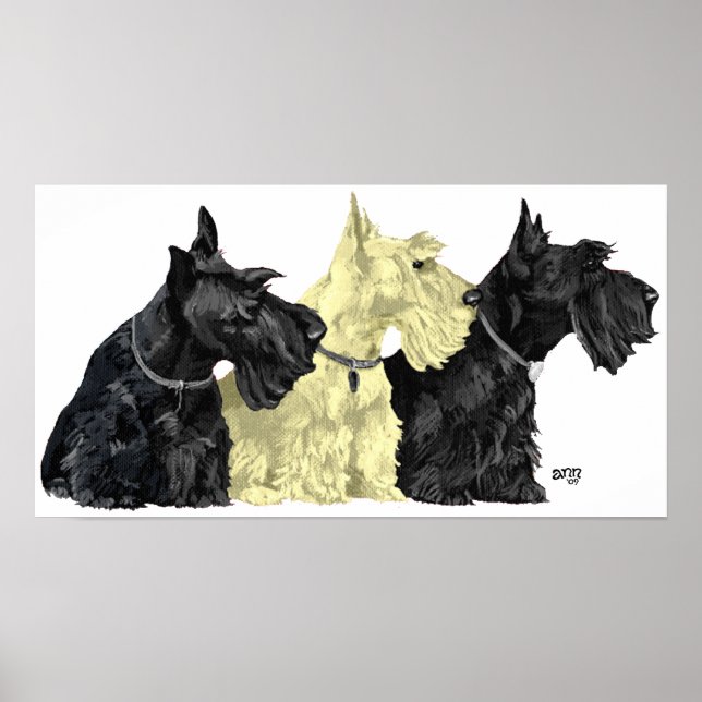 Affiche de Terrier Écossais (Devant)