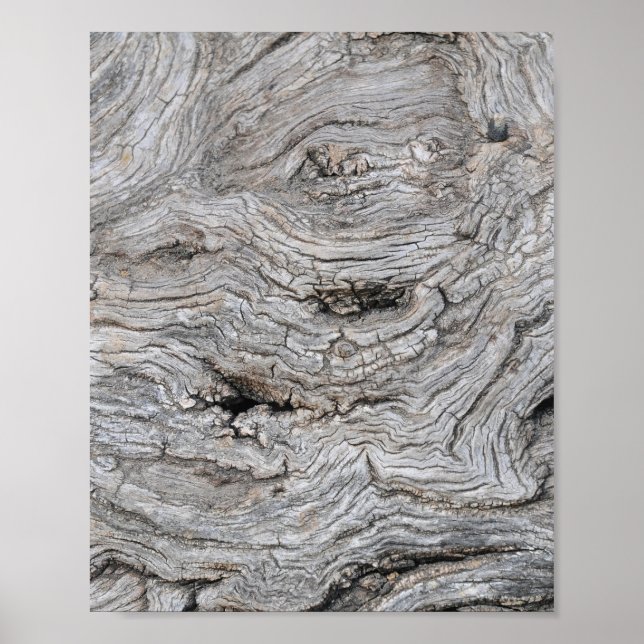 Affiche de texture d'écorce d'olivier ancien (Devant)