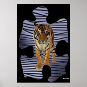Affiche de Tigre