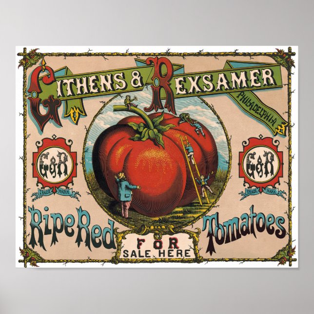Affiche de Tomates Rouges Mûres Vintage (Devant)