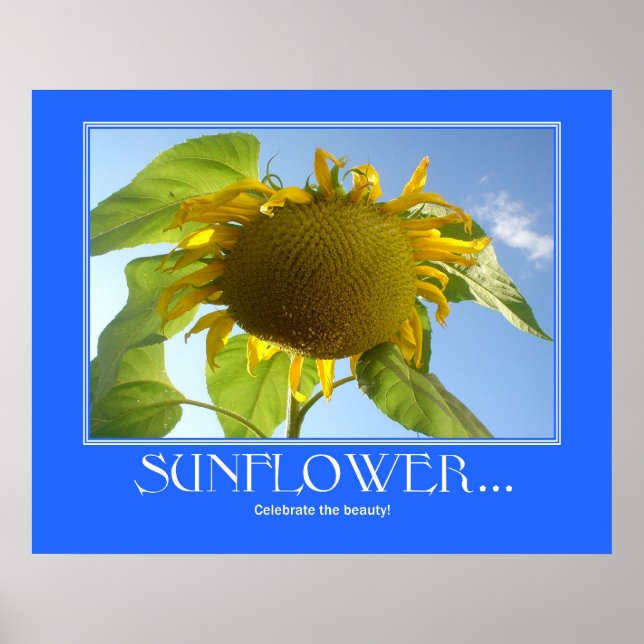 Affiche de tournesol (Devant)