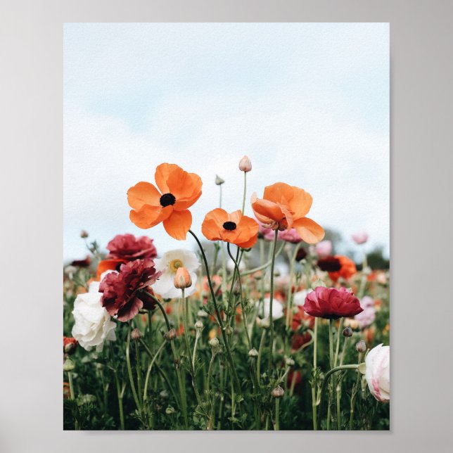 Affiche de trio de fleurs orange (Devant)