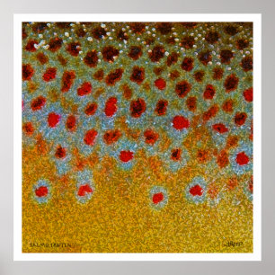 Affiche de truite Brown