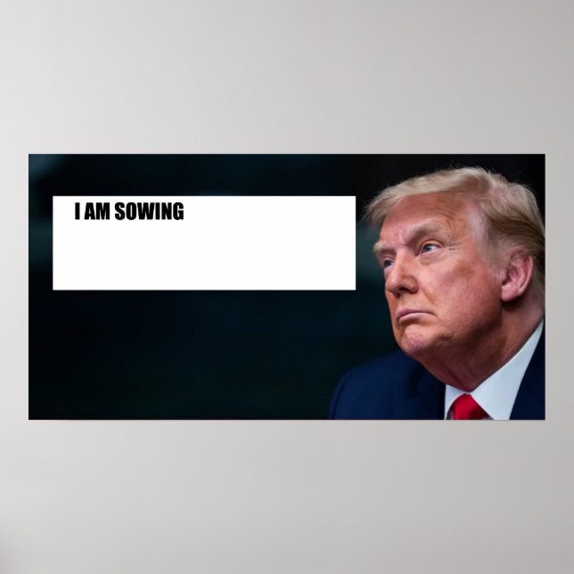 Affiche de Trump (Devant)