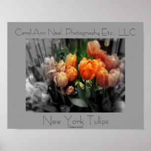 Affiche de tulipes de New York