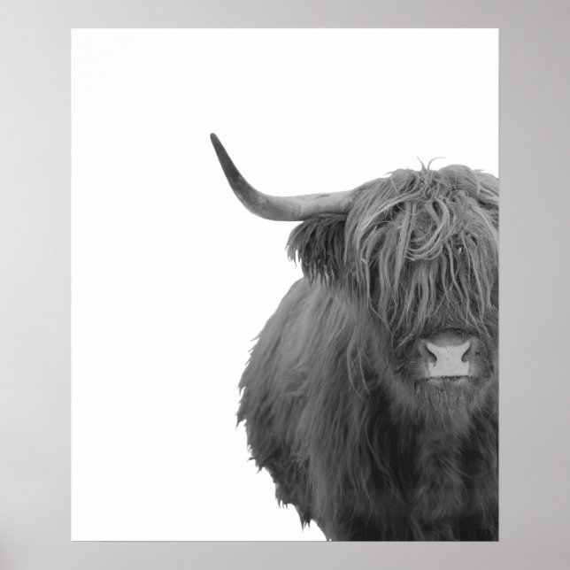 Affiche de Vache des Highlands Écosse Rustique Noi (Devant)