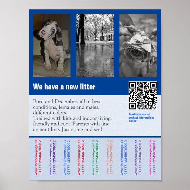 Affiche de vente de chiots avec code QR (Devant)